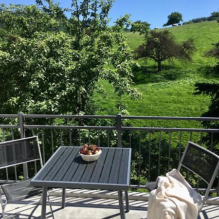 Weinheim Apartments Dış mekan fotoğraf