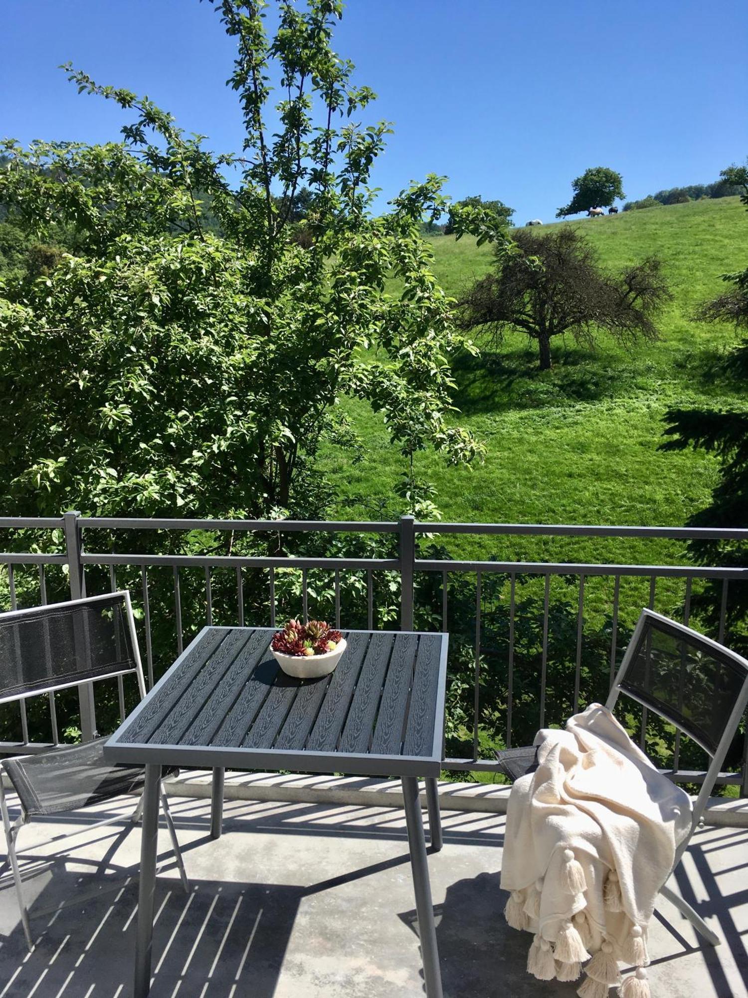 Weinheim Apartments Dış mekan fotoğraf